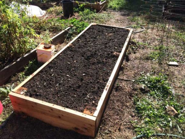 Préparer le jardin pour planter de l'ail à l'automne