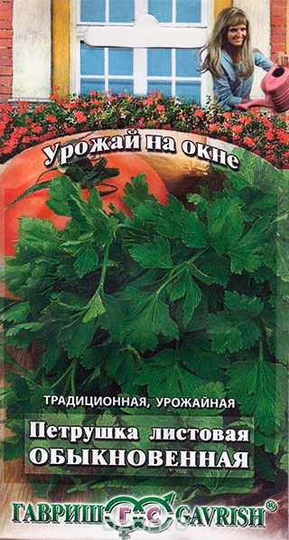 Planter des graines de persil sur le rebord de la fenêtre