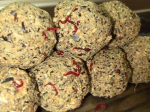 Recettes d'appâts d'hiver pour la brème