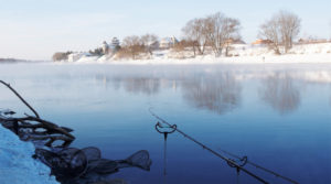 Appât d'hiver pour la brème lors de la pêche en eau libre