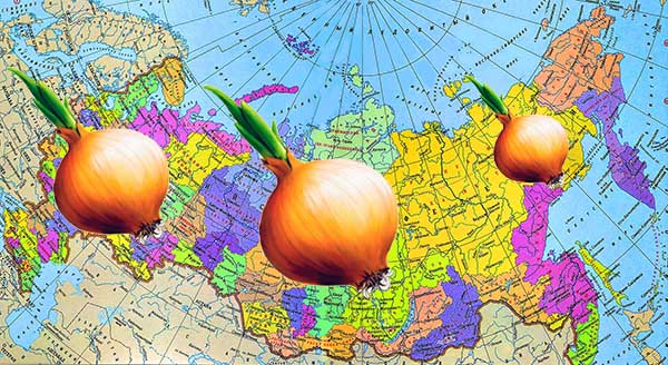 Quand planter des ensembles d'oignon en fonction de